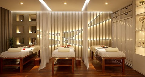 kiem soat moi truong trong spa 8.svg