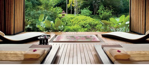 kiem soat moi truong trong spa 9.svg